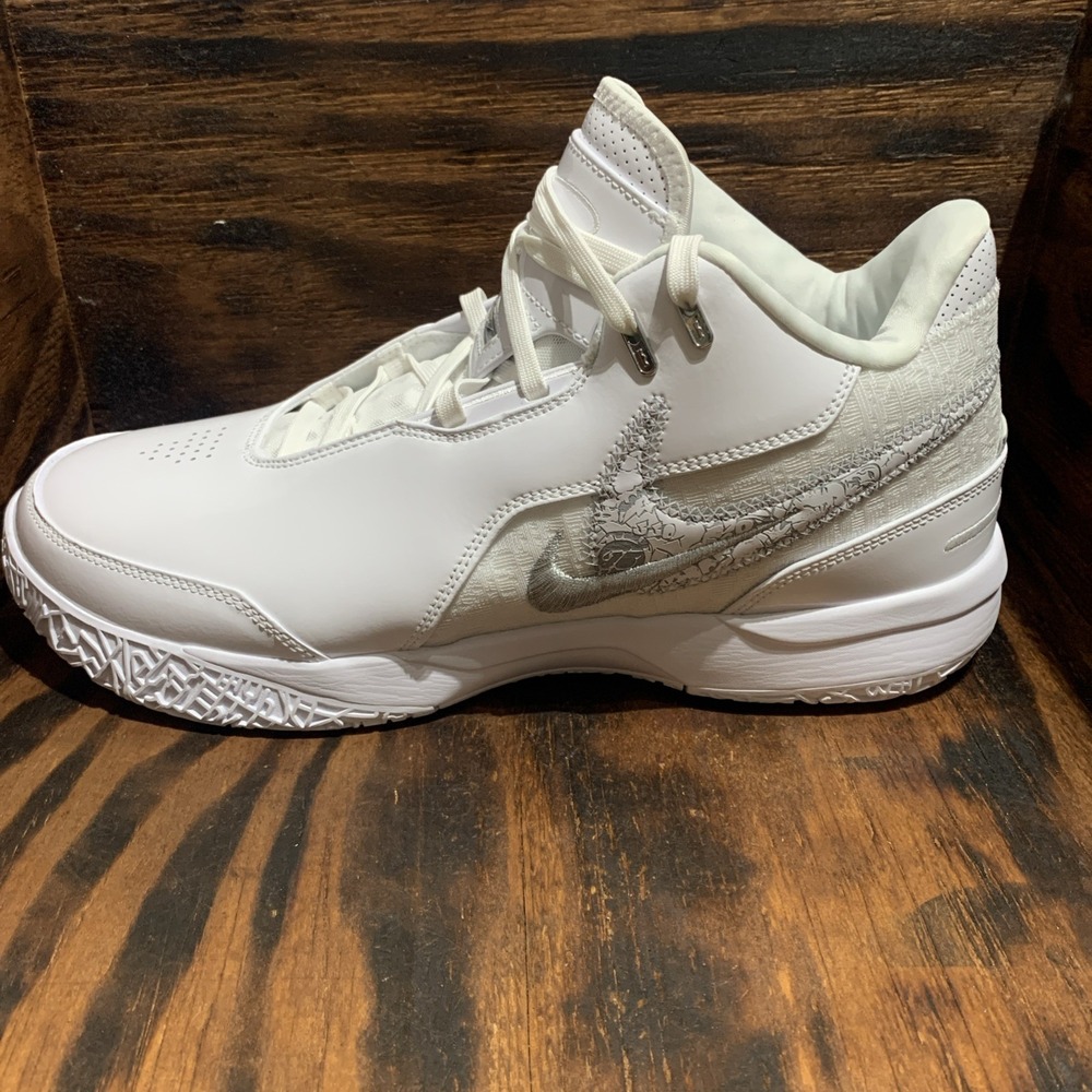 NIKE ZOOM LeBron NXXT Gen AMPD Men's White/LT Smoke Grey FJ1566-102 size 11